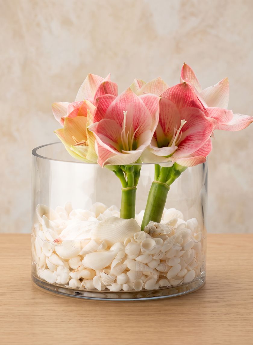 8in Wide Glass Cylinder Vase Decor Jamali Garden