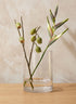 8in Tall Clear Glass Cylinder Decor Jamali Garden