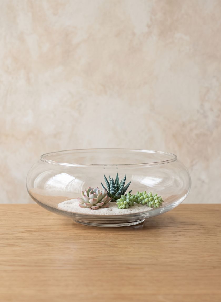 8in Wide Best Value Glass Garden Bowl, Case of 6 Decor Jamali Garden