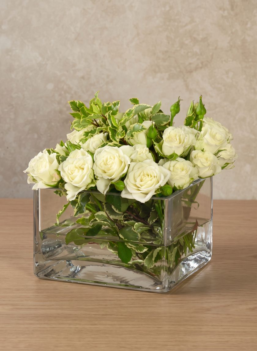 6in Long Low Cube Glass Bowl Vase Decor Jamali Garden