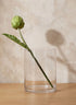 10in Tall Glass Cylinder Vase Decor Jamali Garden