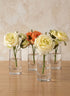 4in Tall Clear Glass Cylinder, Set of 4 Decor Jamali Garden