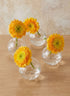 3in Wide Ball Glass Bud Vase, Set of 4 Decor Jamali Garden