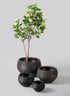 Alfredo Aged Black Real Look PVC Hive Planter Bowl Decor Jamali Garden