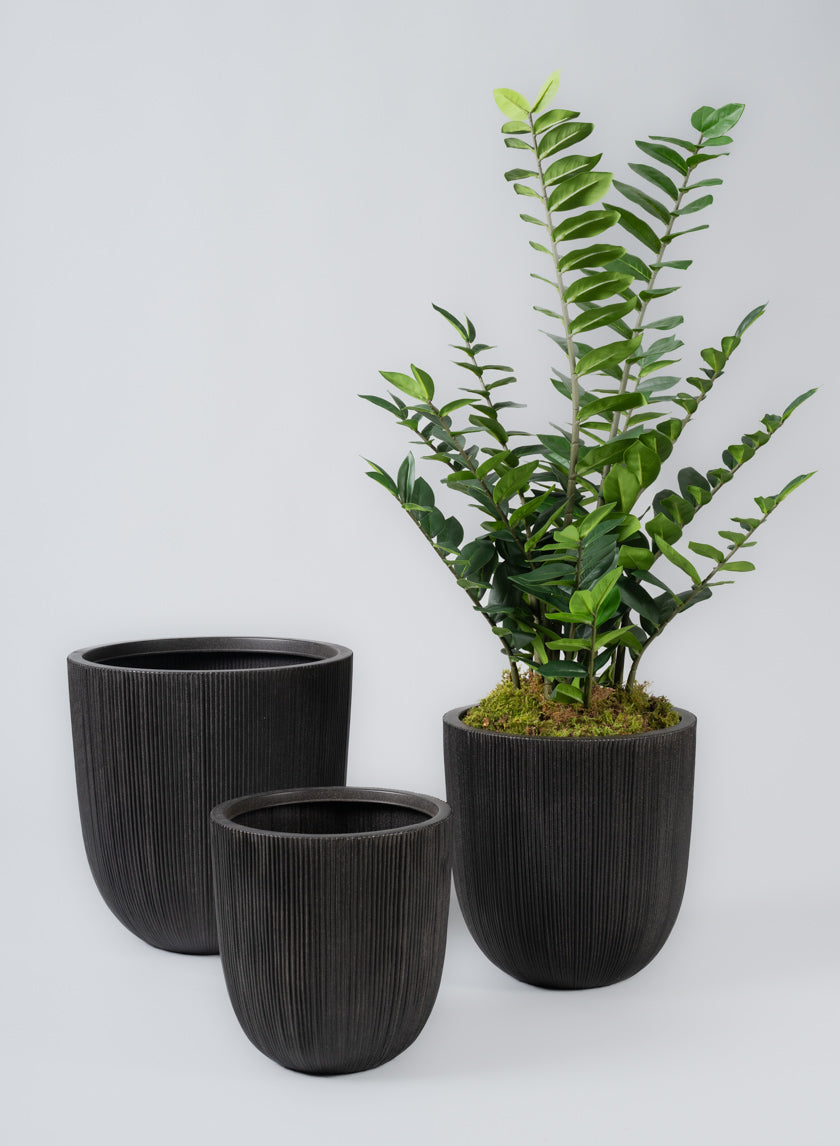 Sierra Aged Black Real Look PVC Planter Decor Jamali Garden