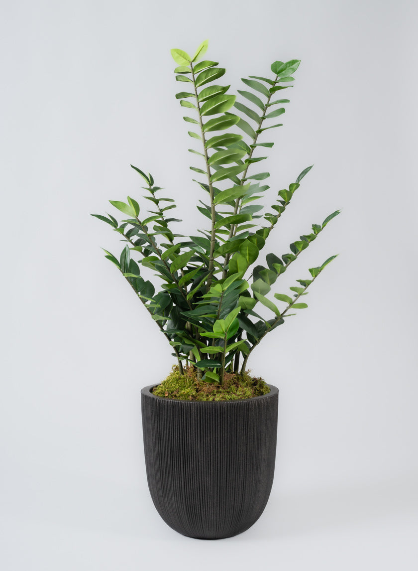 Sierra Aged Black Real Look PVC Planter Decor Jamali Garden