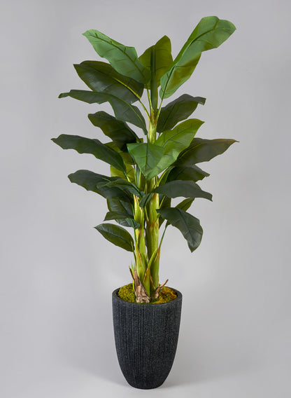 Pianta Artificiale Louis, Plastica, Multicolore, 10x10x65 cm Pianta Artificiale Louis, Plastica, Multicolore, 10x10x65 cm