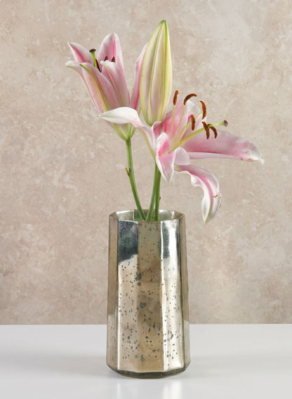 8in Tall Behram Old Silver Mercury Glass Vase Decor Jamali Garden
