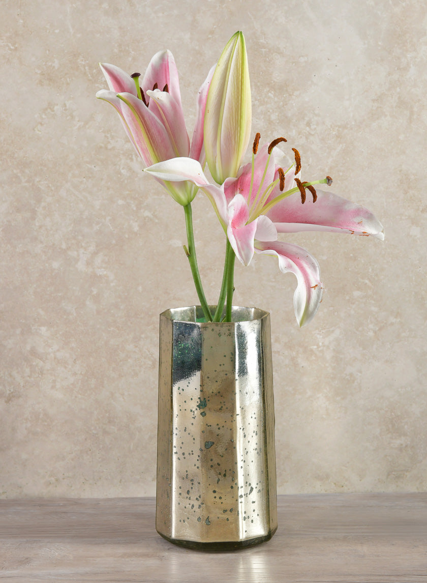 Behram Old Silver Mercury Vase Decor Jamali Garden