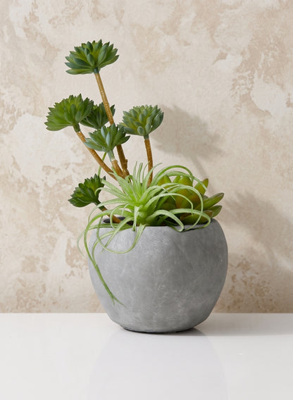 Atelier Cement Fishbowl Vase Decor Jamali Garden