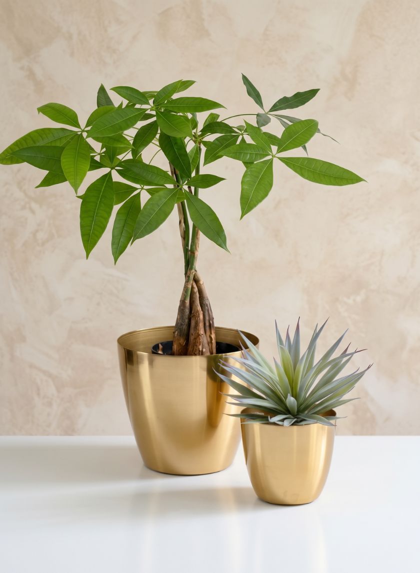 Gold Elegance Iron Cachepot