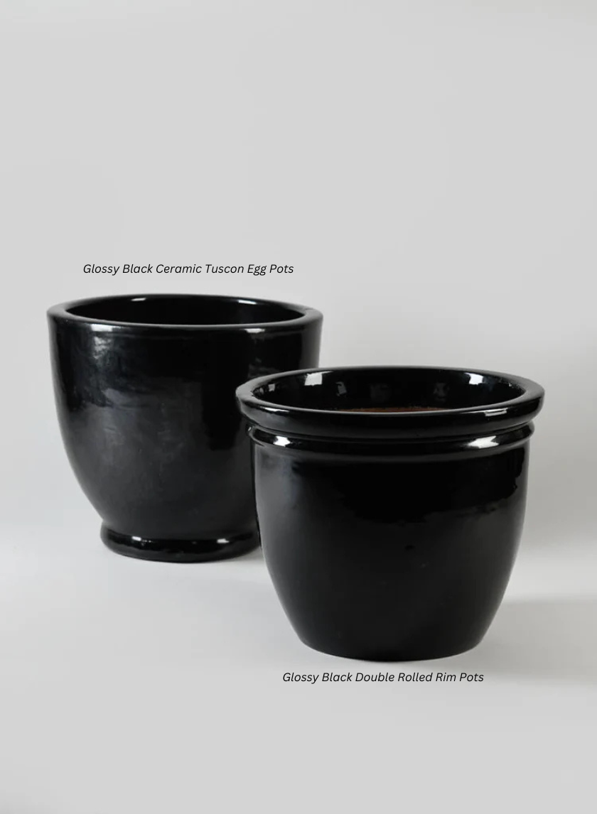 black ceramic plant pots outdoor Glossy Black Ceramic Tuscon Egg Pots
