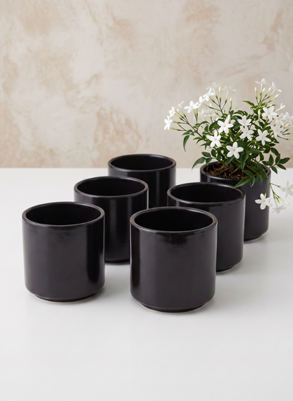 Six 3.5-inch Tall Florist Choice Matte Black Cylinder pots are arranged on a white surface, with one featuring a flowering plant displaying small white blossoms and green leaves. The background is light and textured.