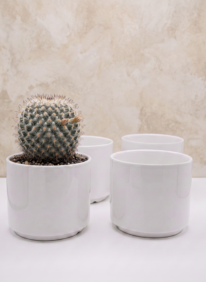 A 4in Tall Florist Choice Gloss White Cylinder pot, planted with a round cactus, is displayed in front of three empty matching pots from the set of four, all arranged against a beige textured background.