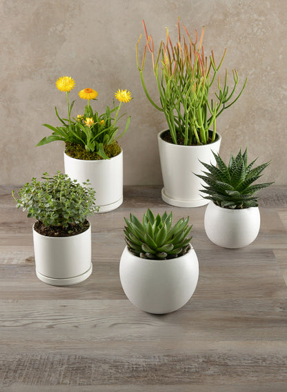 tall ceramic pots for indoor plants 4.5in Tall Odense White Indoor Ceramic Pot with Saucer, Set of 4 – Jamali Garden