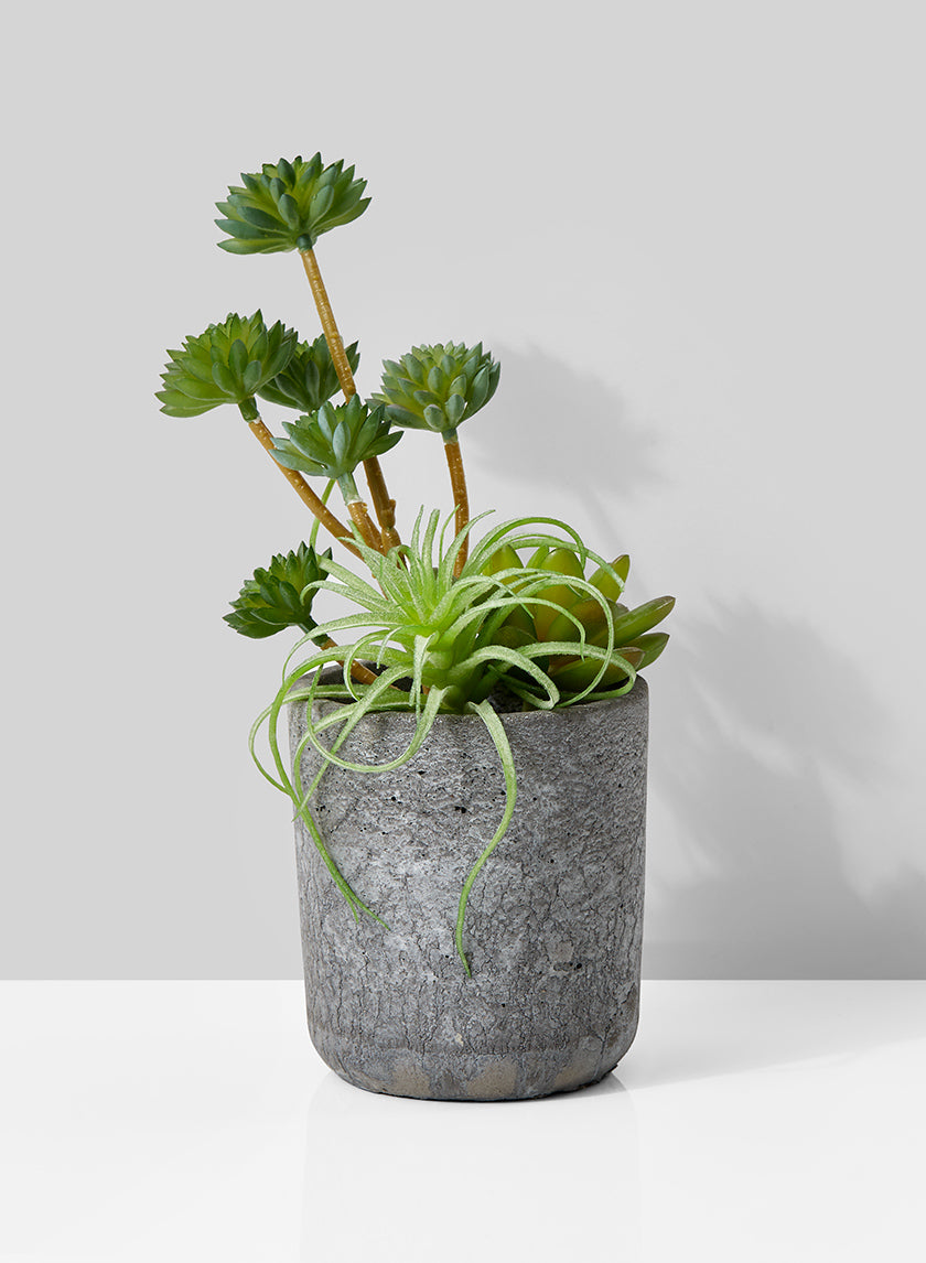 artificial succulents in pots 9in Tall Mixed Artificial Succulents In Cement Pot