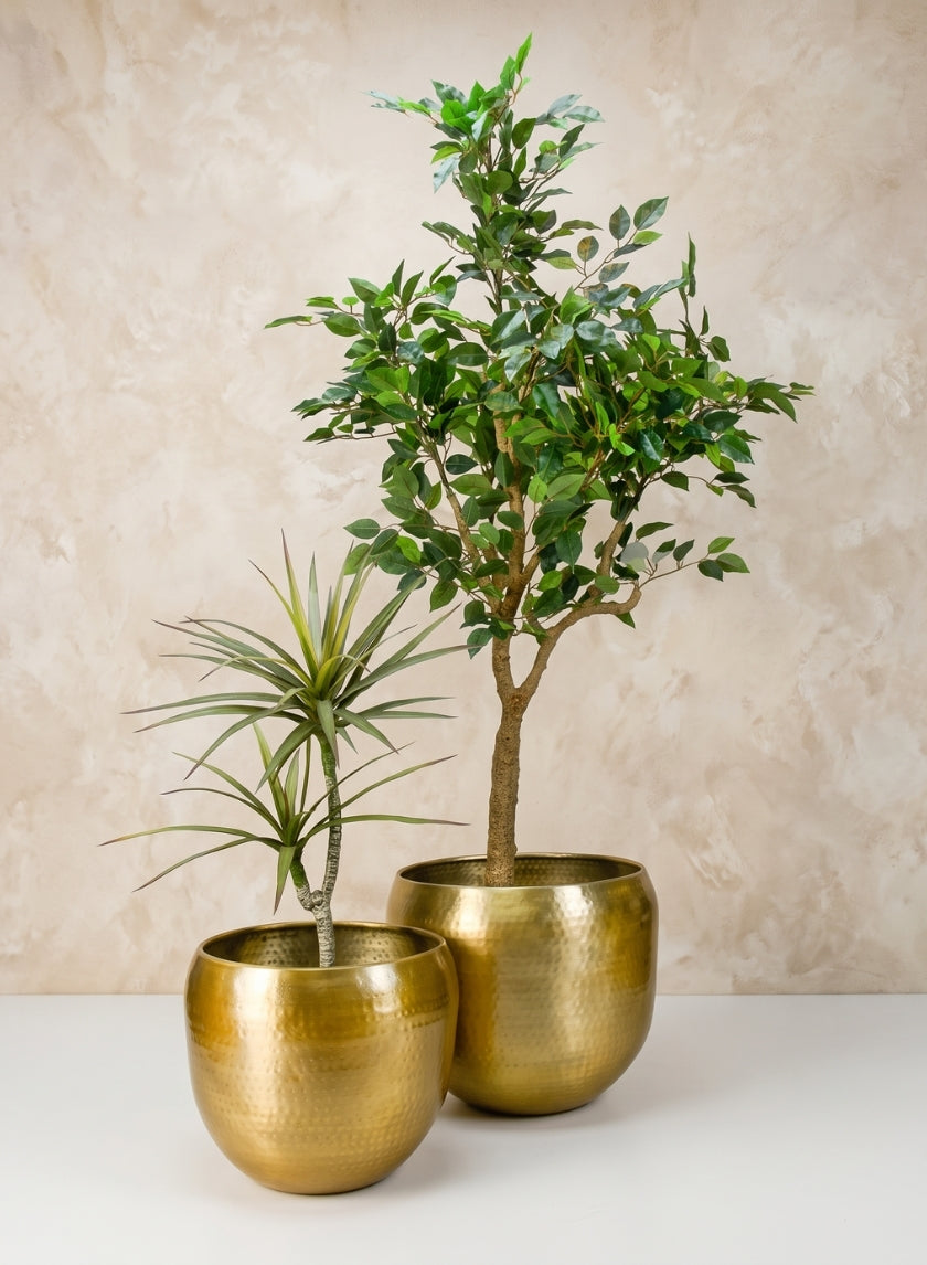 Madurai Brass Look Aluminum Indoor Garden Pot Decor Jamali Garden