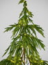 32in Tall Warm White Pre-Lit Christmas Tree (80 Lights) Decor Jamali Garden