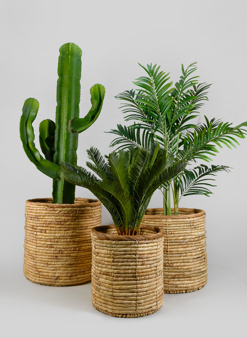 rattan indoor plant pots Da Nang Water Hyacinth Basket Pot – Jamali Garden