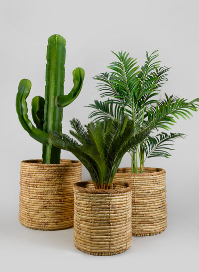 Da Nang water hyacinth woven basket pot in natural fiber tones for interior styling