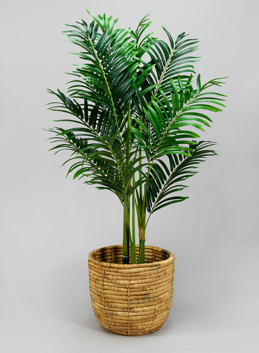 water hyacinth plant pot Haiphong Water Hyacinth Cachepot