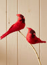 Cardinals, Case of 6 Decor Jamali Garden