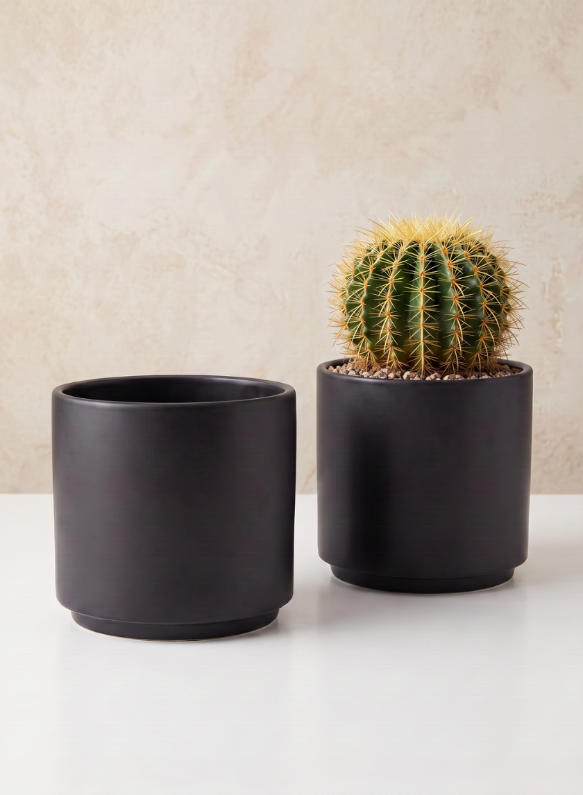 A round cactus with yellow spines sits in one of the 5.25in Tall Florist Choice Matte Black Cylinders, filled with small pebbles, next to an identical empty cylinder from the set of two on a white surface against a beige wall.