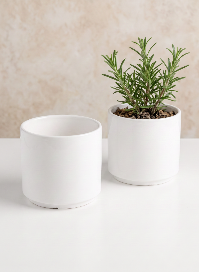 Florist Choice Gloss White Cylinders