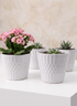 A set of four 4.5in Tall Florist Choice White Cachepots is displayed on a white surface; three pots feature green succulents, while one showcases pink flowering blooms. A light beige background adds a soft contrast to the scene.