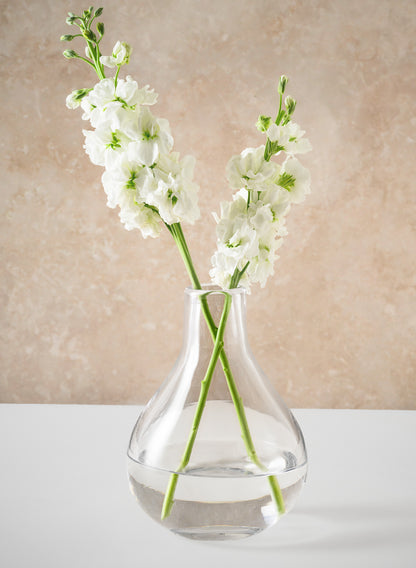 7.5in Tall Muran Clear Hand Blown Deco Glass Vase Decor Jamali Garden