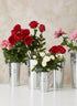 Zinc French Vases With Round Handles Decor Jamali Garden