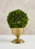 4in Tall Victoria Mini Steel Urn Decor Jamali Garden