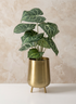 8in Tall Arash Gold Iron Mini Planter with Legs Decor Jamali Garden
