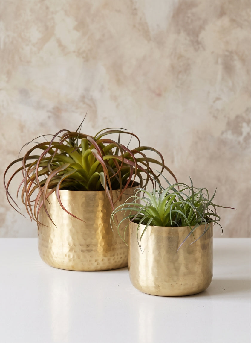 Mysore Brass Look Aluminum Pot Decor Jamali Garden