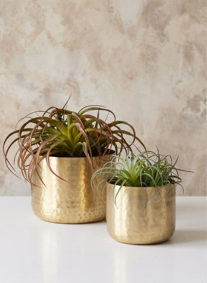Mysore Brass Look Aluminum Pot Decor Jamali Garden