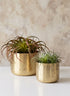 Mysore Brass Look Aluminum Pot Decor Jamali Garden