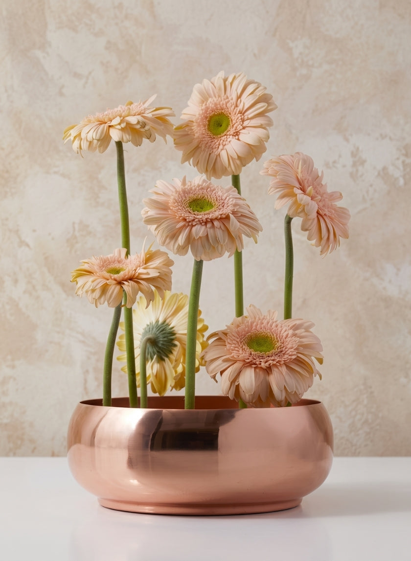 7in Wide Shallow Copper Plated Bowl Decor Jamali Garden