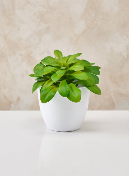 3.5in Tall White Elegance Cachepot, Set of 4 Decor Jamali Garden