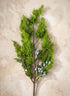 24in Long Real Touch Cypress Berry Spray, Case of 12 Decor Jamali Garden