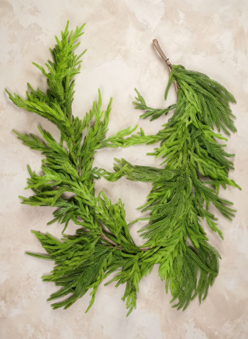 75in Long Real Touch Fir/Norfolk Pine Garland Decor Jamali Garden