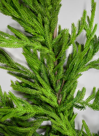 75in Long Real Touch Fir/Norfolk Pine Garland Decor Jamali Garden