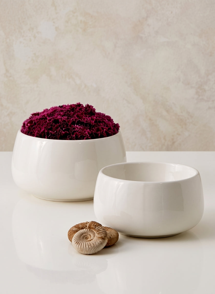 Low White Ceramic Bowls