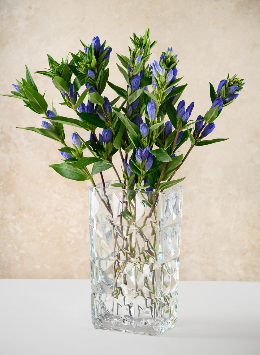 Rectangular Crystal Look Glass Vase Decor Jamali Garden