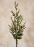 38in Long Green Cypress Spray with Pine Cones Decor Jamali Garden