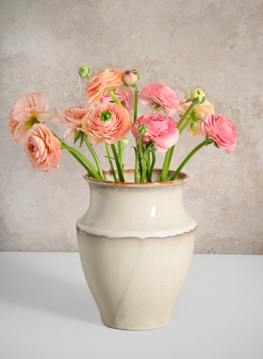 8in Tall Cream Evora Ceramic Vase Decor Jamali Garden