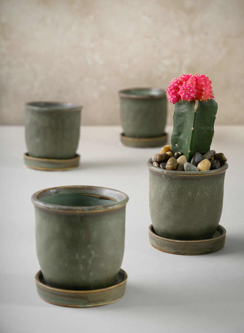 3in Tall Azra Aged Green Ceramic Pot with Saucer, Set of 4 Decor Jamali Garden