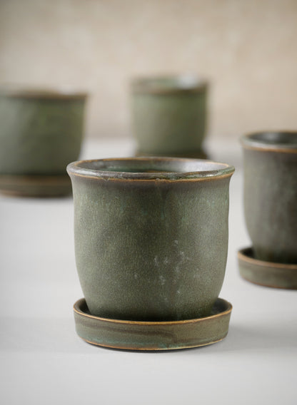 3in Tall Azra Aged Green Ceramic Pot with Saucer, Set of 4 Decor Jamali Garden