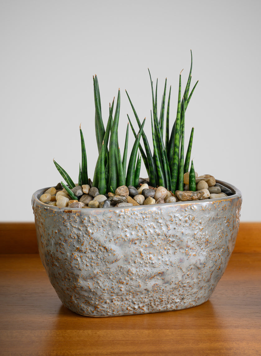 4.5in Tall Bursa Oval Taupe Ceramic Cachepot Decor Jamali Garden