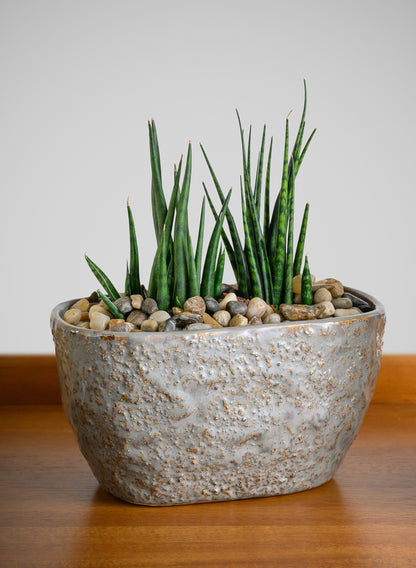 4.5in Tall Bursa Oval Taupe Ceramic Cachepot Decor Jamali Garden