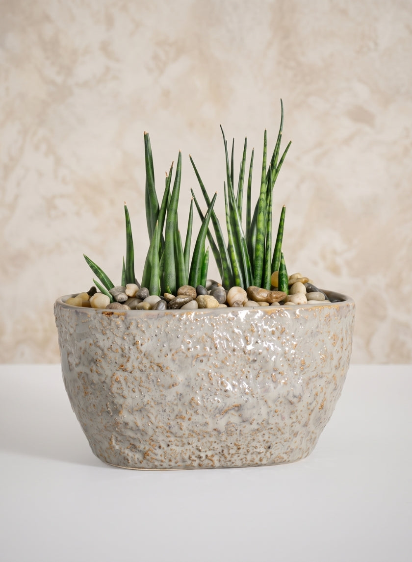 4.5in Tall Bursa Oval Taupe Ceramic Cachepot